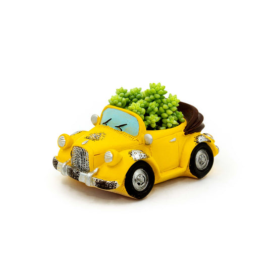 Burro's Tail Succulent Plant Vintage Car - Yellow