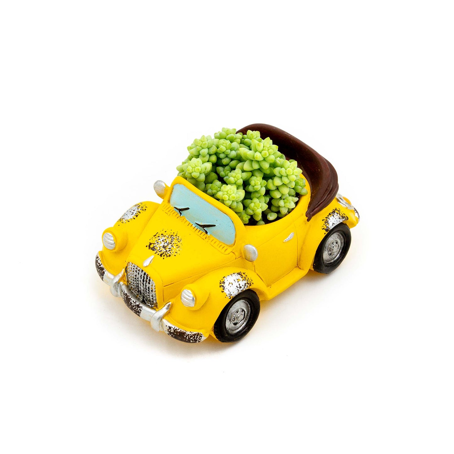 Burro's Tail Succulent Plant Vintage Car - Yellow