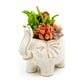 Succulent Arrangement in Ceramic Elephant Planter