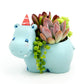 Succulent Arrangement in Happy Hippo Pot