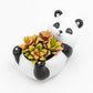 Succulent Arrangement in Baby Panda Pot (Multiple Styles)