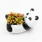 Succulent Arrangement in Baby Panda Pot (Multiple Styles)