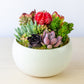 Succulent Arrangement in Ceramic Bowl (Multiple Colors) - White, Medium