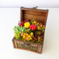 Succulent Arrangement in Treasure Box - Medium