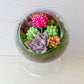 Succulent Terrarium with Stand (Multiple Colors) - Small